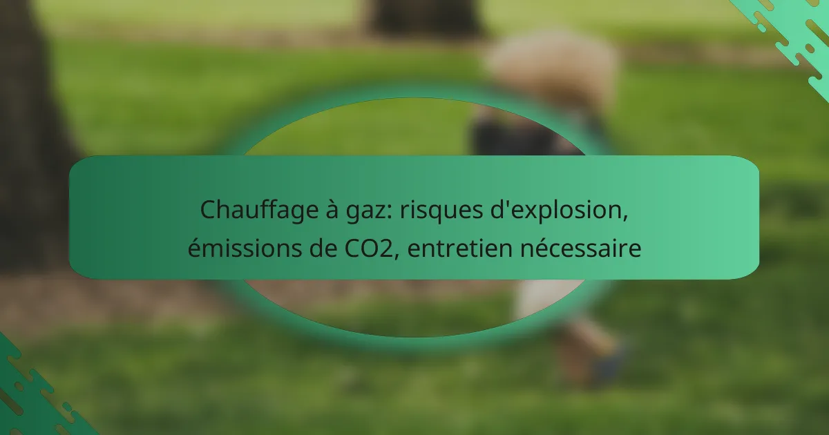 Chauffage à gaz: risques d’explosion, émissions de CO2, entretien nécessaire