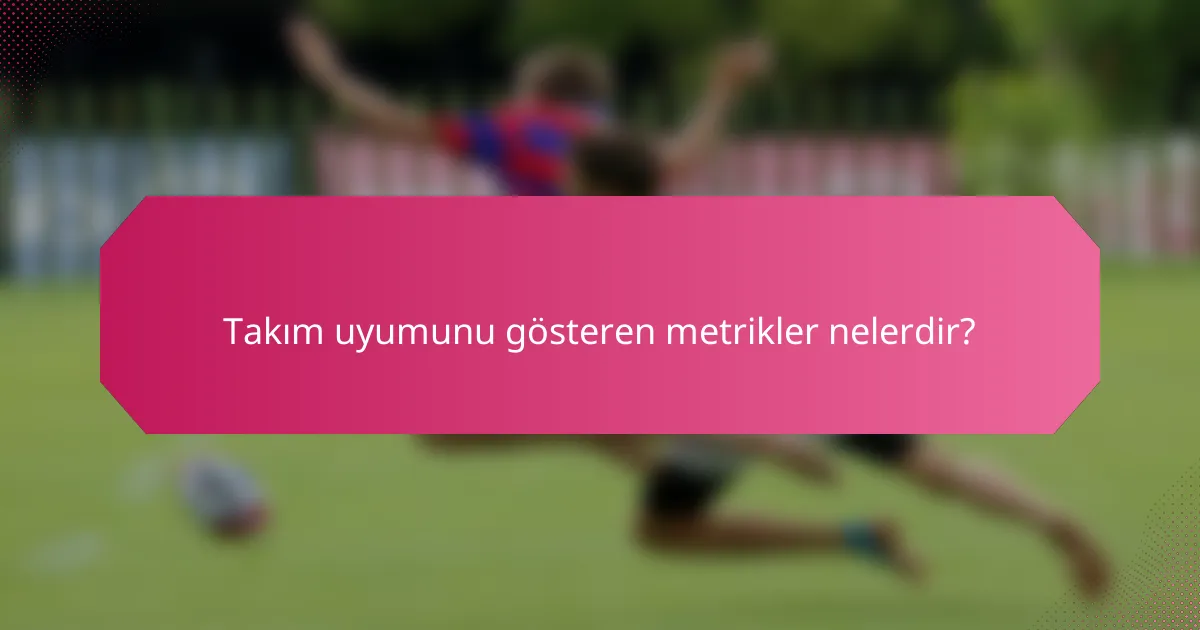 Takım uyumunu gösteren metrikler nelerdir?
